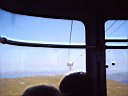 IMAG0064.JPG
